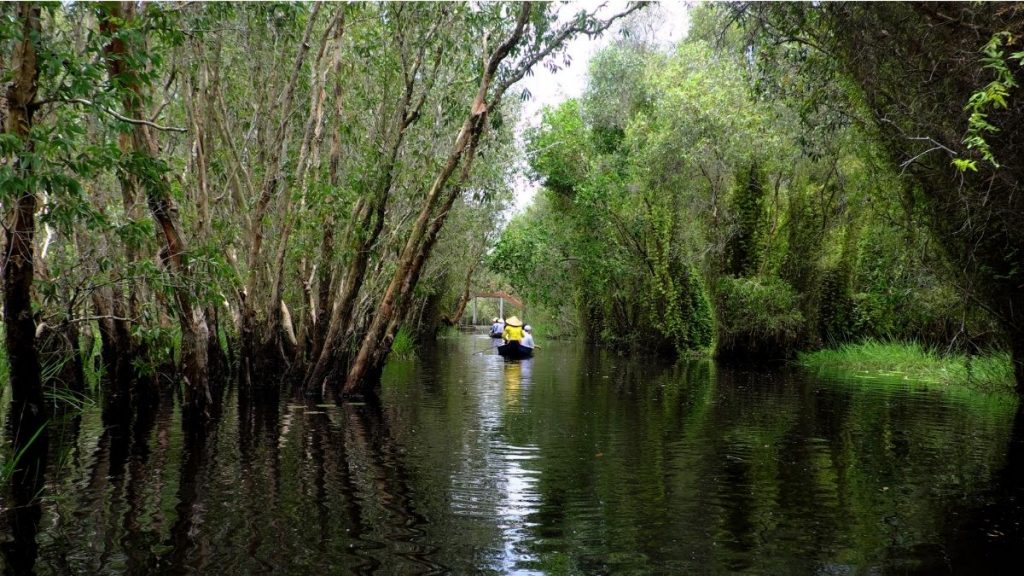 eco-tours