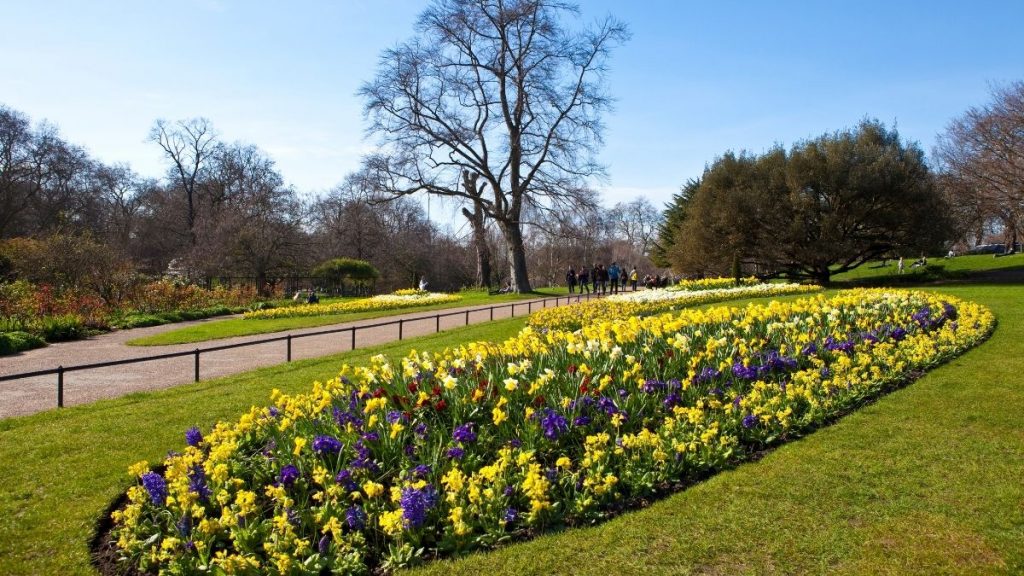 hyde-park-in-london