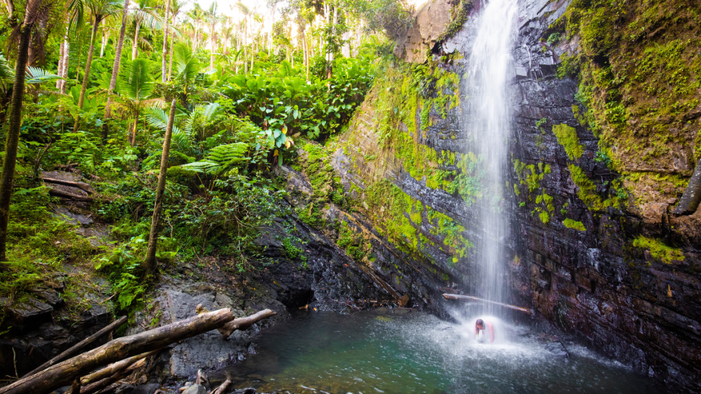 Ecotourism in the Caribbean