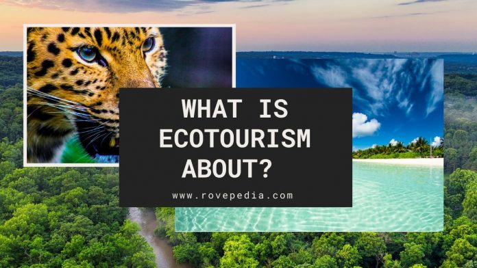 ecotourism poster